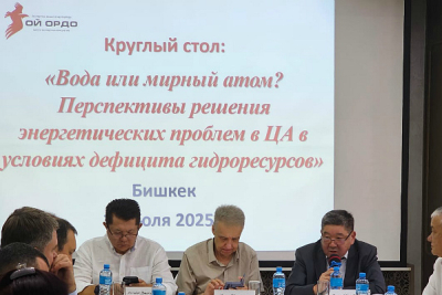 Вода или мирный атом? Перспективы энергетики в Центральной Азии