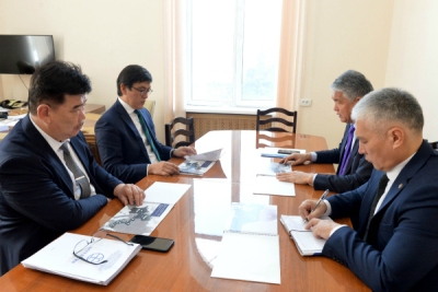 Эдиль Байсалов и генсекретарь ТЮРКСОЙ Султан Раев обсудили вопросы сотрудничества