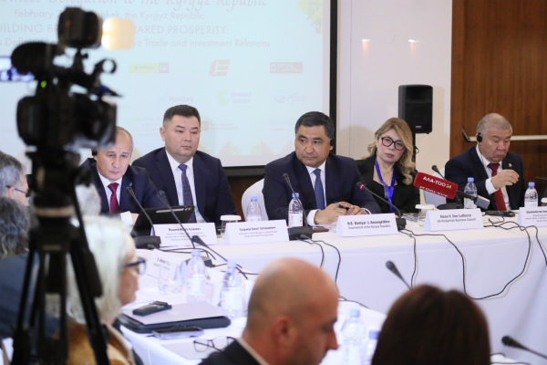 Данияр Амангельдиев провел встречу с представителями крупных американских компаний