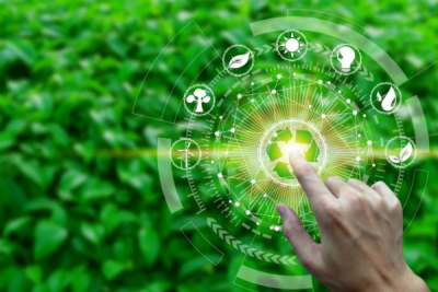 Кыргызстан и Казахстан вошли в топ-100 лучших стартап-экосистем мира